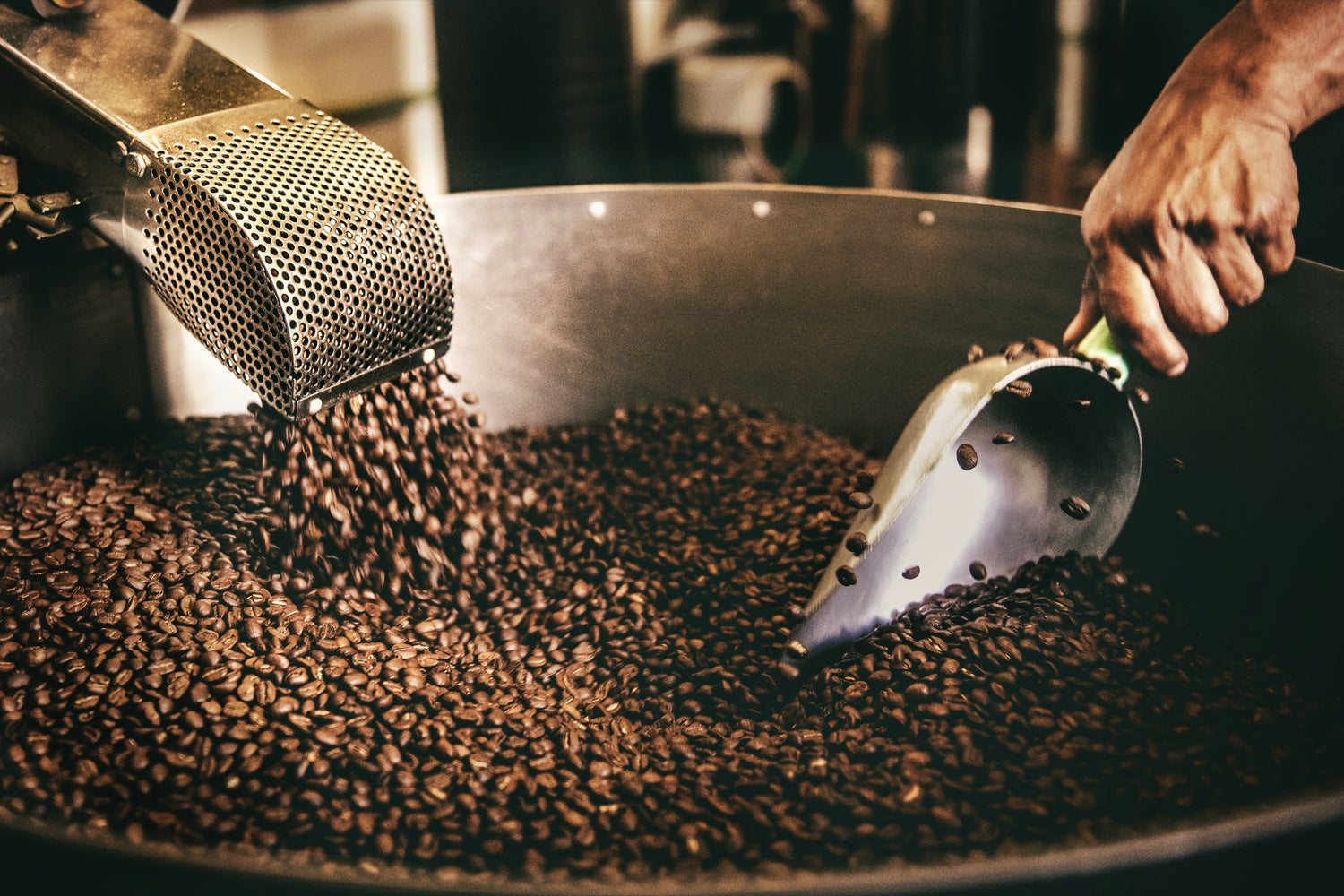 Dominican coffee roasting, craft and earth