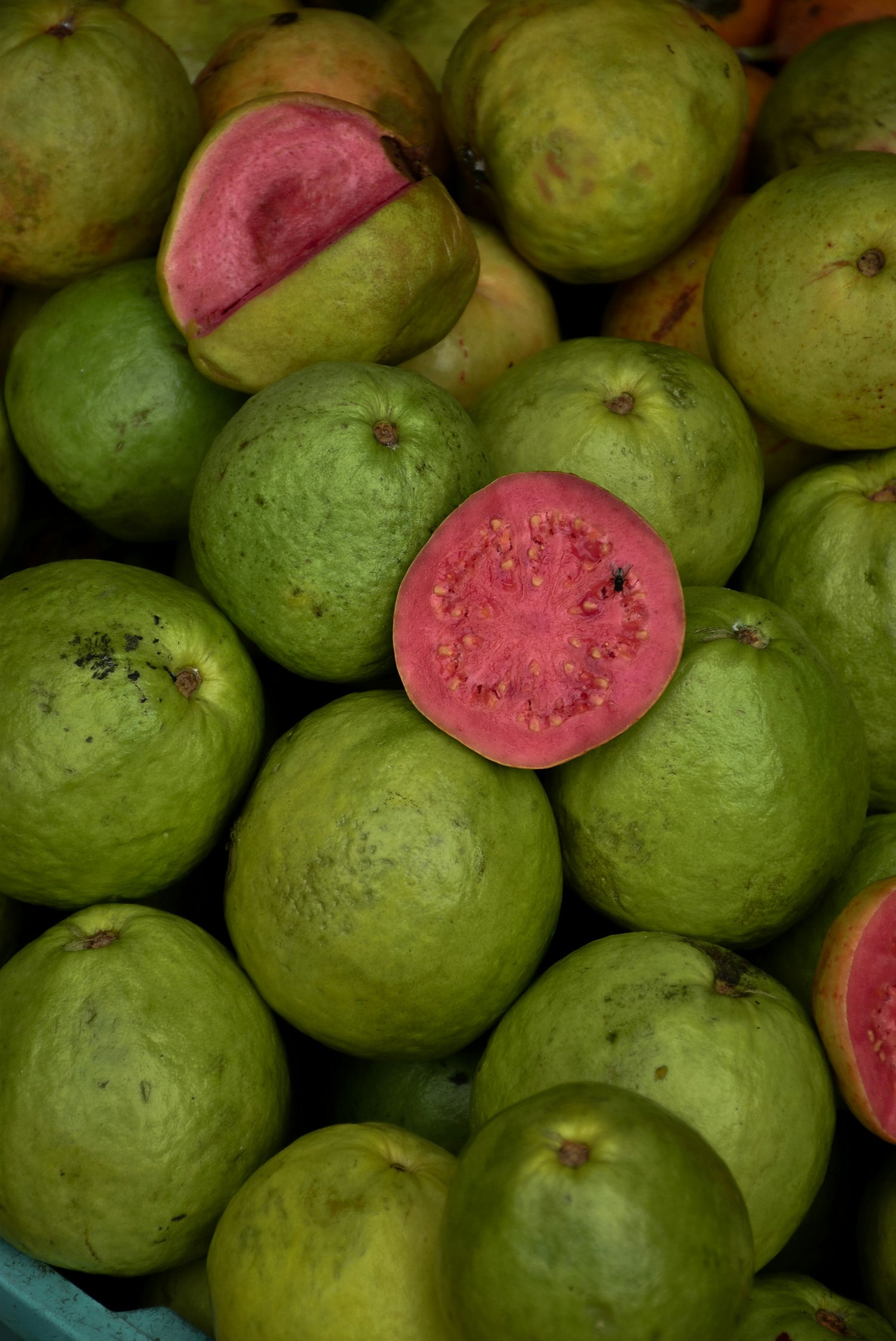 Fresh pink guava, the colors of the island